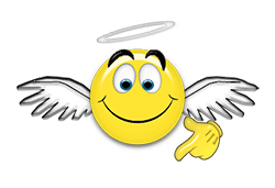Angel Ani 250x171 01